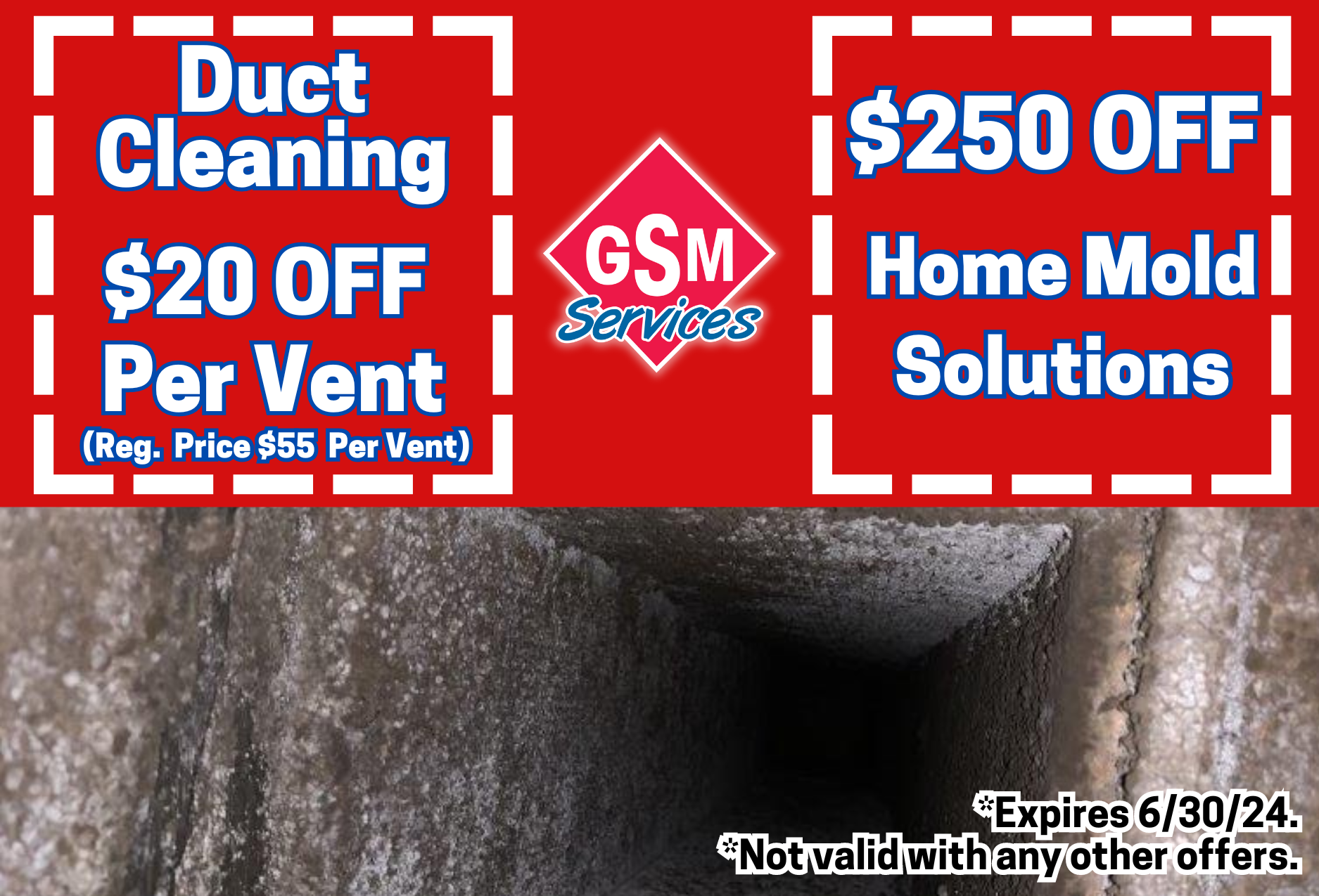 Mold in duct & air vent