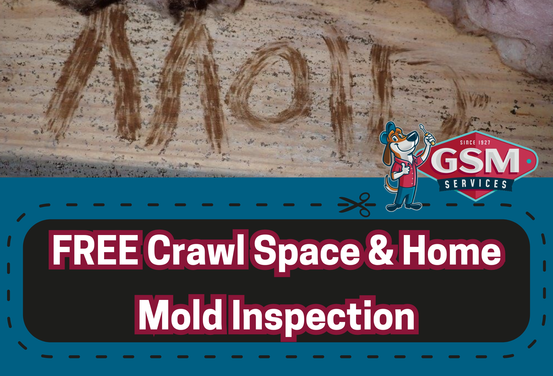 Crawl Space Mold Charlotte NC