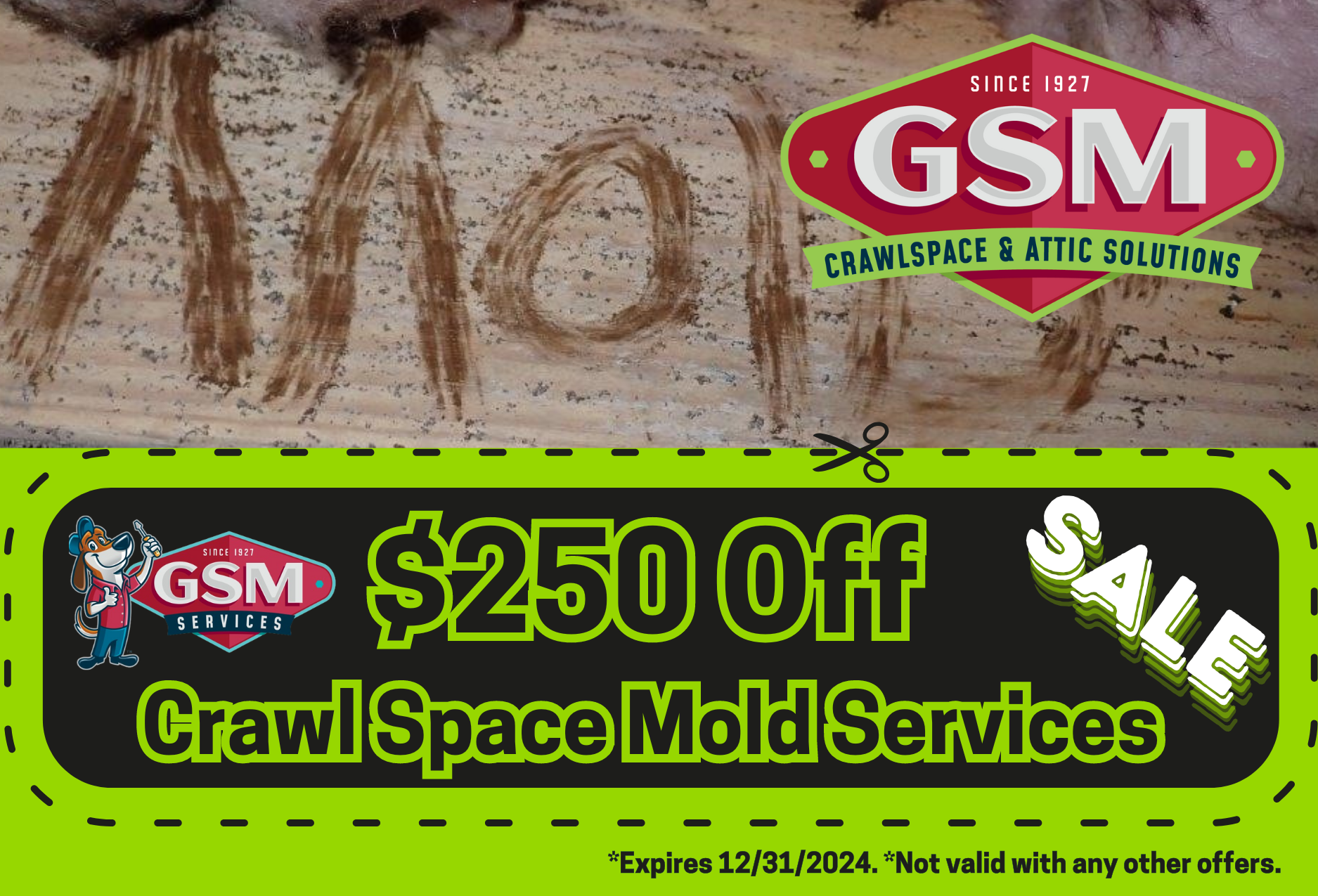 Crawl Space Mold Removal Charlotte & Gastonia